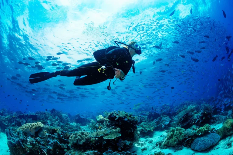 scuba diving in gokarna view from bottom to surface
