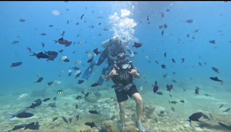 scuba diving gokarna