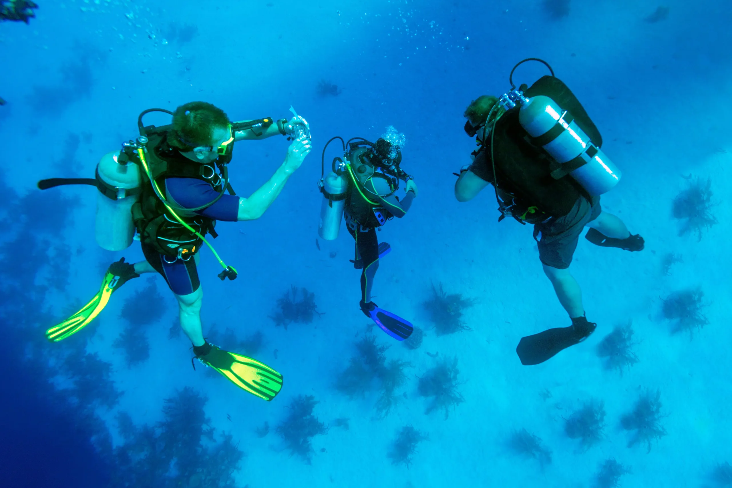 scuba diving gokarna